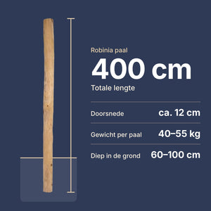 Robinia paal van 400 cm: lengte, doorsnede, gewicht en diepte in de grond