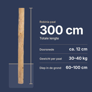 Robinia paal van 300 cm: lengte, doorsnede, gewicht en diepte in de grond