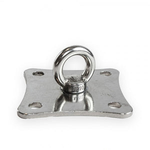 RVS plaat met draaibaar oog