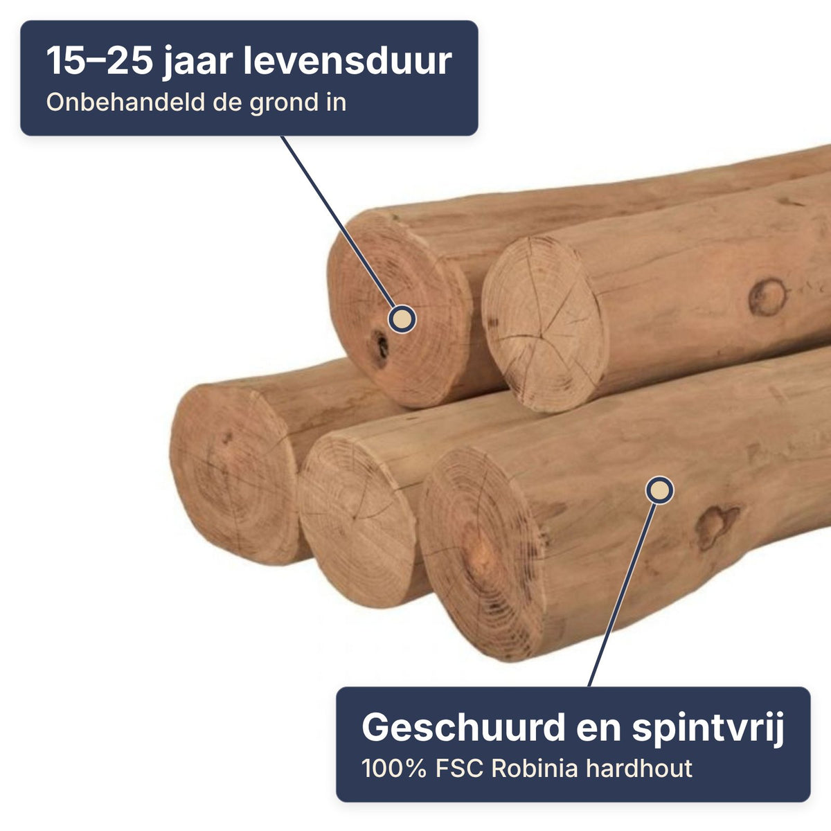 Robinia palen van dichtbij: 15 tot 25 jaar levensduur, geschuurd en spintvrij